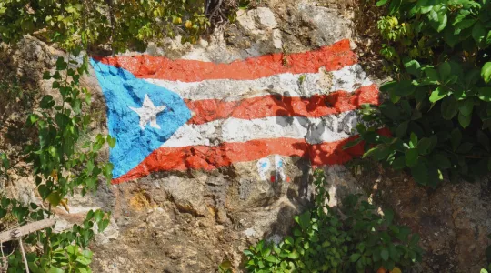 Puerto Rican flag painted onto a rock, surrounded by vegetation