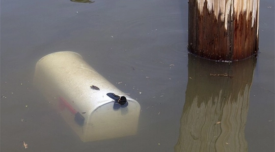 Photo of an outdoor mailbox under water.