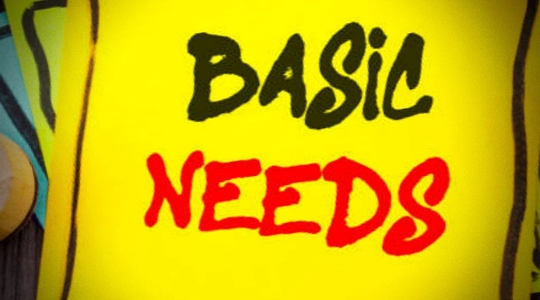 Basic Needs sign