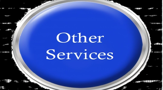 A blue oval shape with the words: Other Services