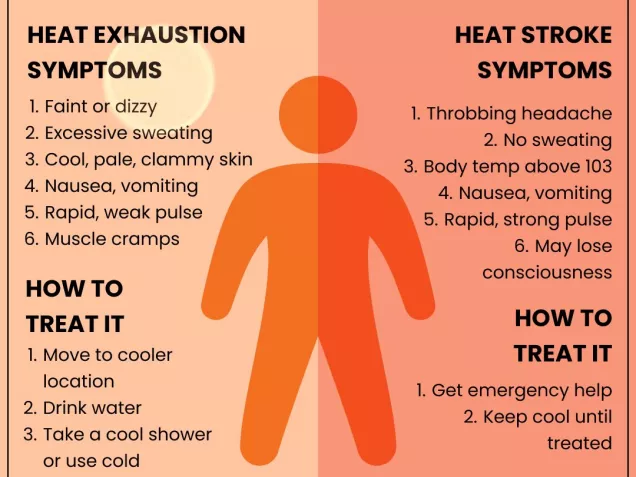 A human figure drawing with details about heat exhaustion and heat strokes symptom and how to treat them.