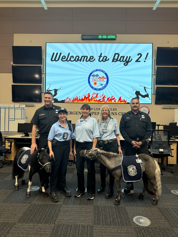 Los Angeles Department firefighters posing with the City of Los Angeles Mayor's crisis response team therapy horses after a Camp ReadyLA media activity. 